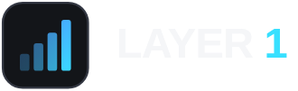 Layer 1 IT Solutions